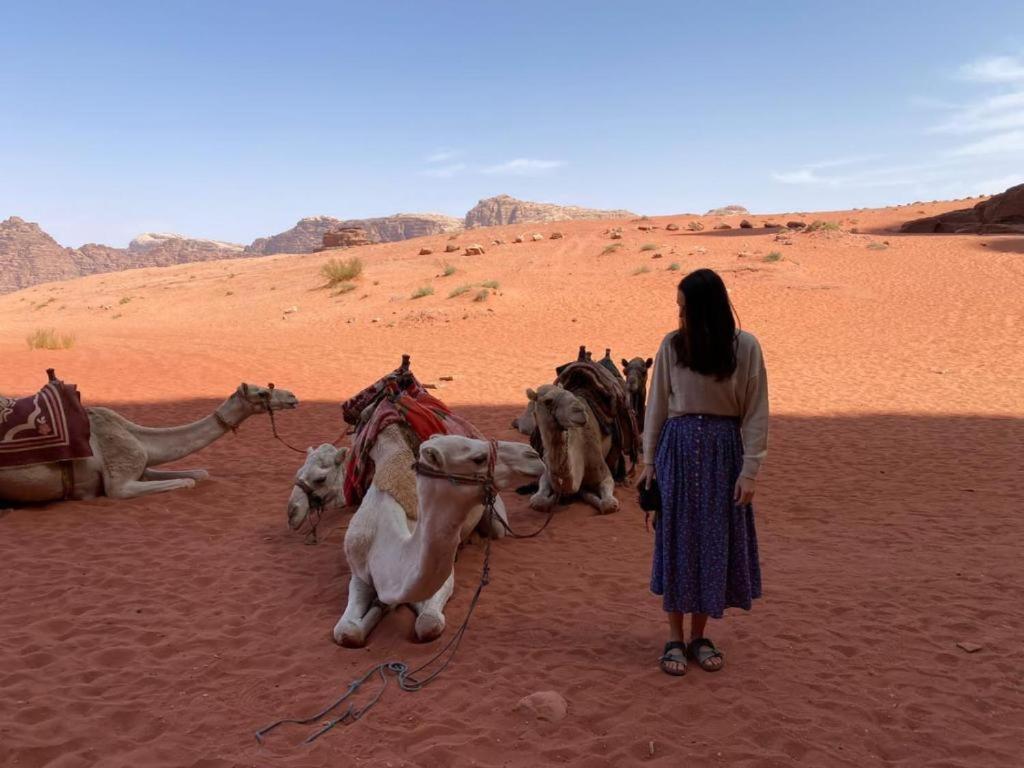 Mojo Camp, Wadi Rum Exterior photo