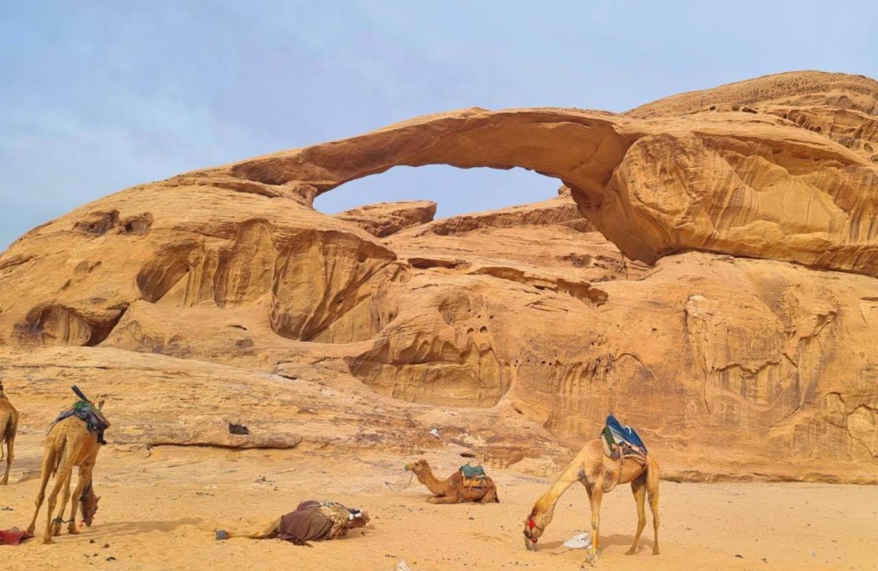 Mojo Camp, Wadi Rum Exterior photo