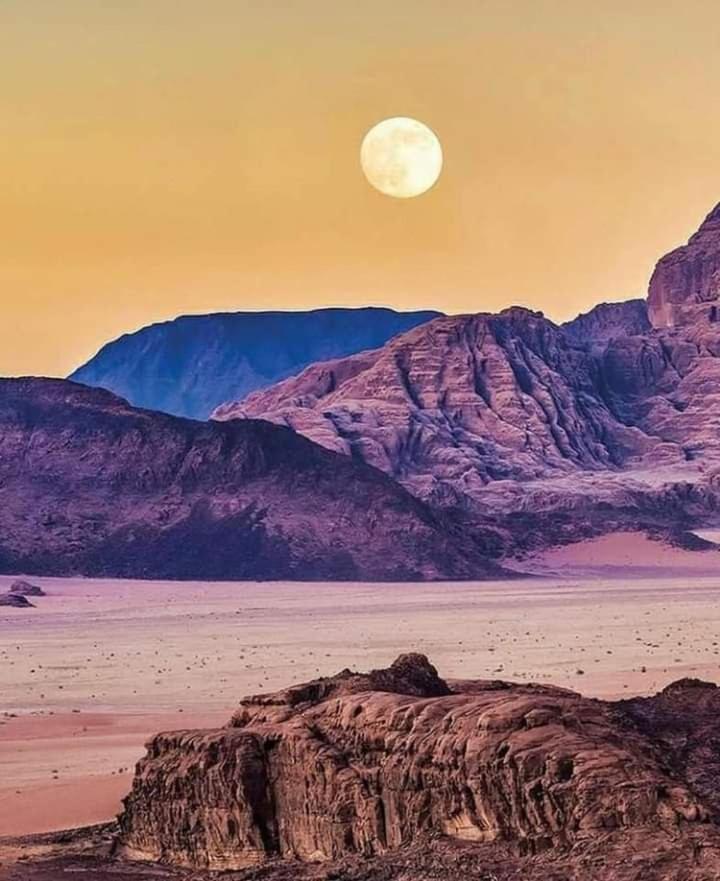 Mojo Camp, Wadi Rum Exterior photo