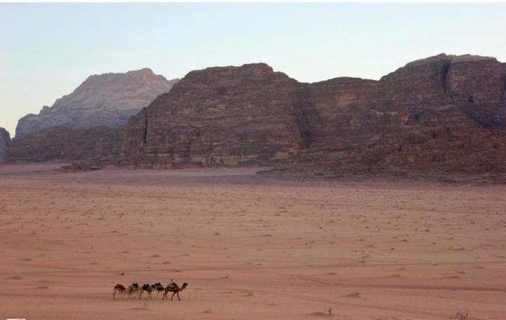 Mojo Camp, Wadi Rum Exterior photo